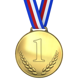How To Become A Gold Medal Leader