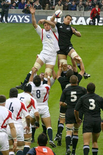 Business Lessons From The All Blacks Decline